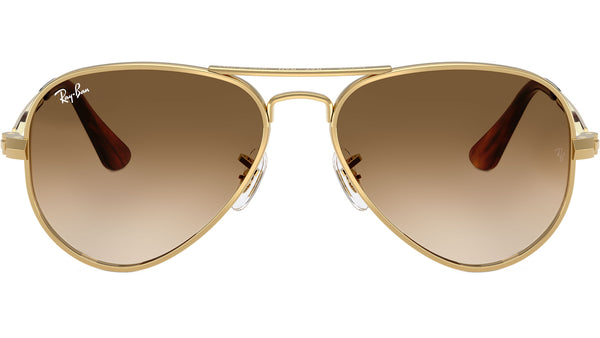 Aviator Max RB3925 001/51