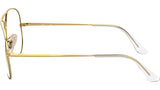 Aviator Optics RB6489 2890