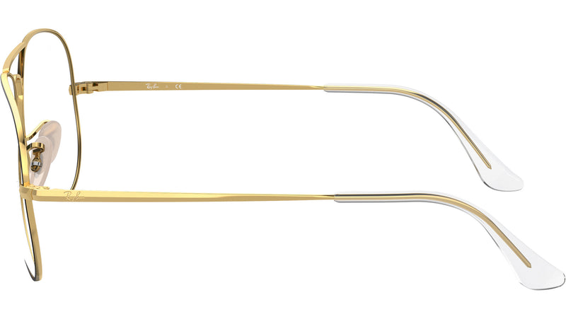 Aviator Optics RB6489 2890