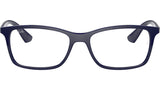 RB7047 Optics 8100