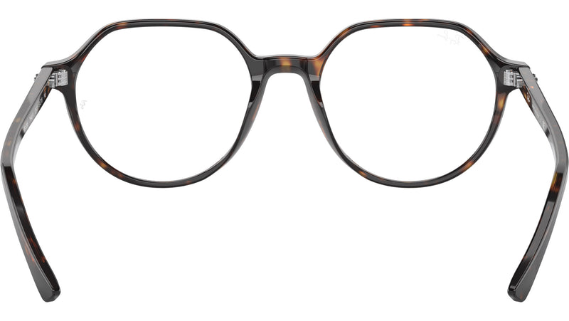 Thalia Optics RB5395 2012