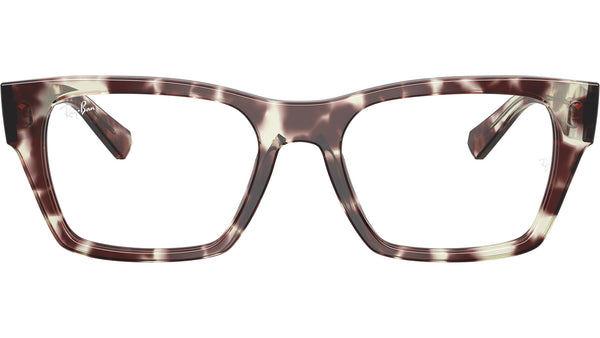 RB5448 Optics 8458