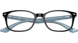 RB5375 Optics 5883