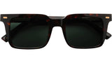 DRAVA Classic Havana