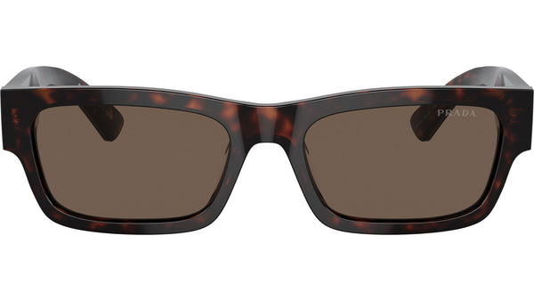PR A03S 17N08T Tortoise