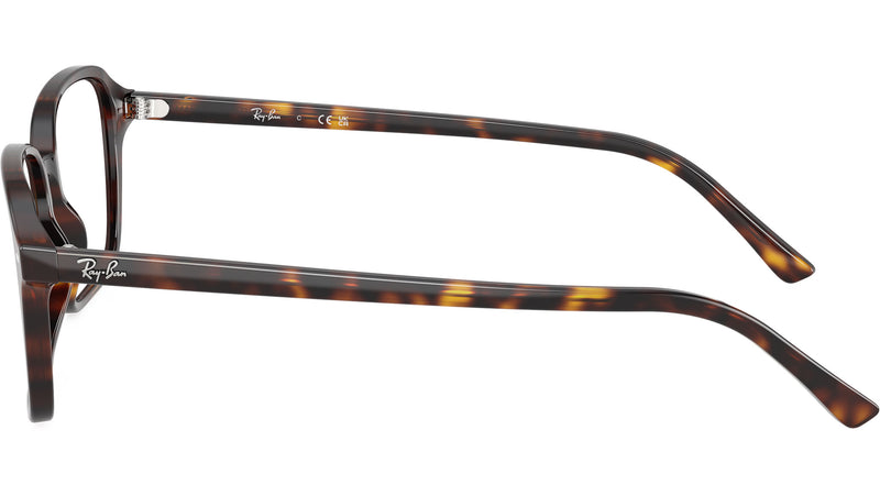 Raimond Optics RB5431 2012