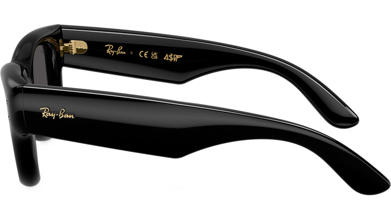 Wayfarer Puffer RB4940 601/87