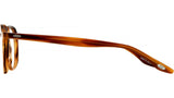 Dale Havana Geometric Eyeglasses