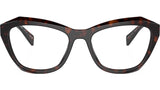 PR A20V 17N1O1 Tortoise
