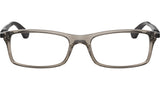 RB7017 Optics 8059