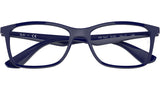 RB7047 Optics 8100