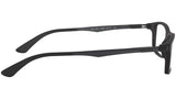 RB7017 Optics 5196