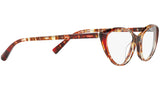3081 004 tortoise