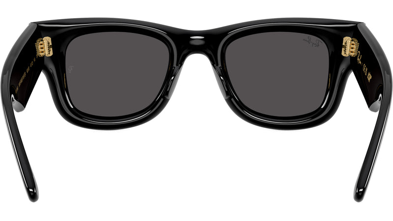 Wayfarer Puffer RB4940 601/87