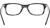 RB5228 Optics 5405
