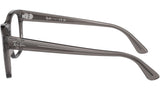 RB7228 Optics 8257