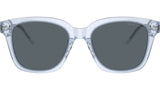 AR 8210U 6081R5 Blue