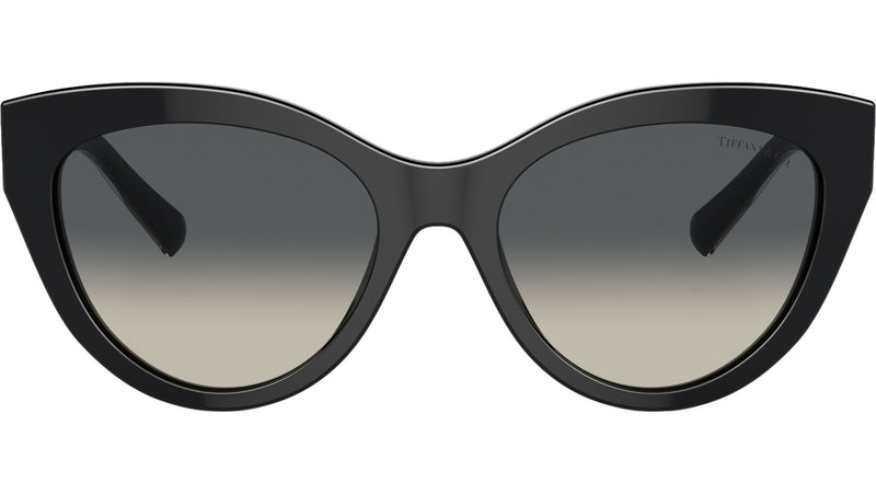 TF4220 800171 Black