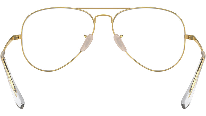 Aviator Optics RB6489 2890