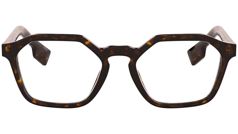 BE2294 3002 Tortoise