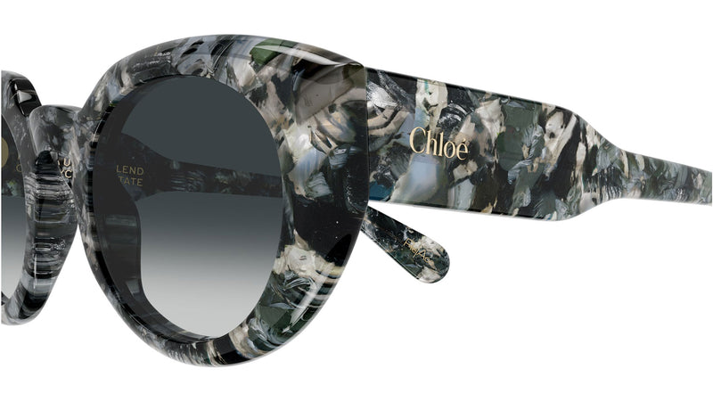 CH0311S 007