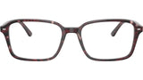 Raimond Optics RB5431 8393