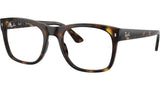 RB7228 Optics 2012