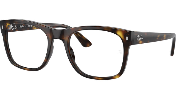 RB7228 Optics 2012