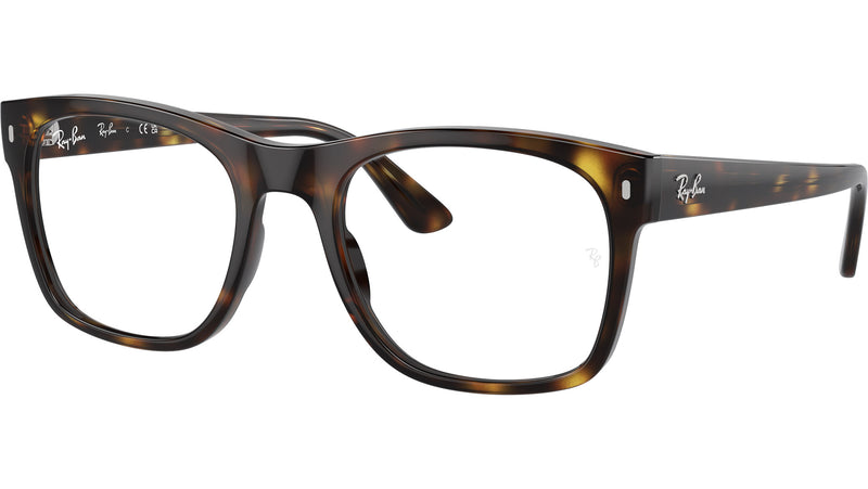 RB7228 Optics 2012