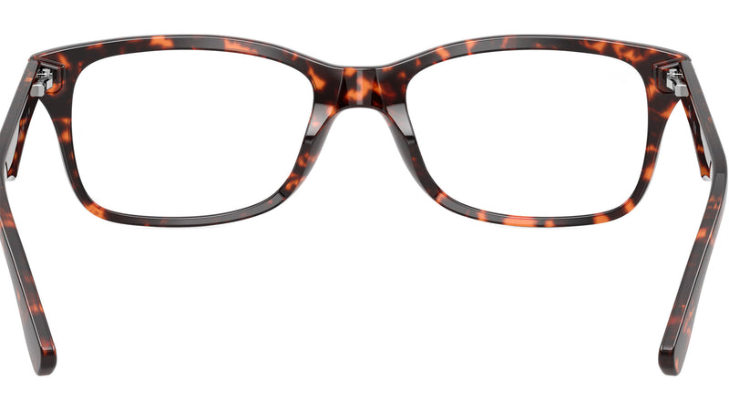 RB5228 Optics 8423