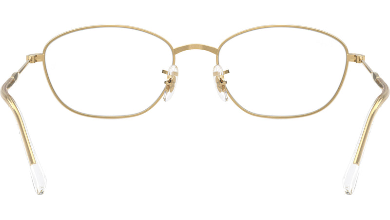 RB3749V Optics 2500