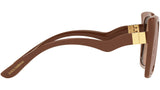 DG 6168 3292P4 brown
