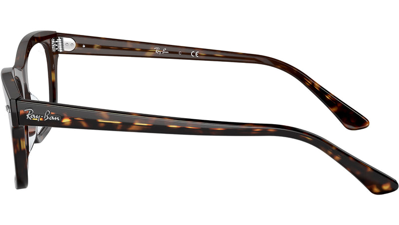 Mr Burbank Optics RB5383 2012