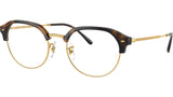 RB7229 Optics 2012