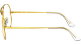 Aviator Optics RB6489 3086