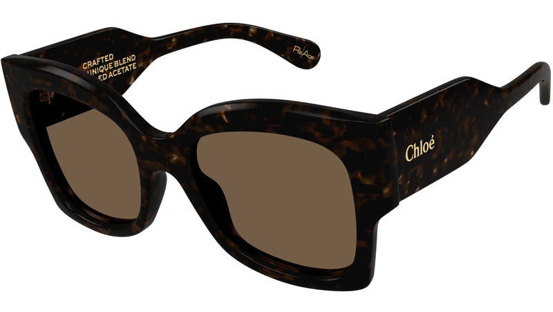 CH0252S 002