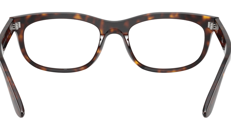 Balorette Optics RB5489 2012