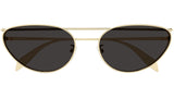 AM0424S 001