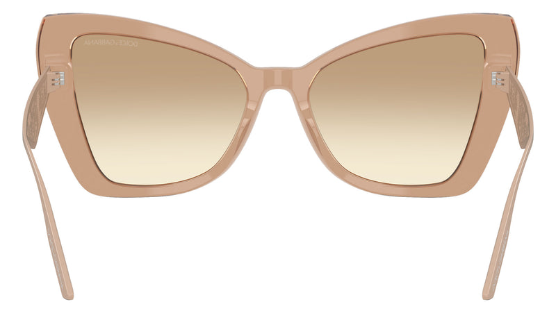 DG 4489 343213 Camel