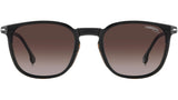 CA 332/CS WR7 LA Black Havana