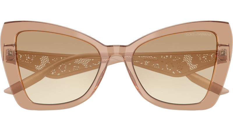 DG 4489 343213 Camel