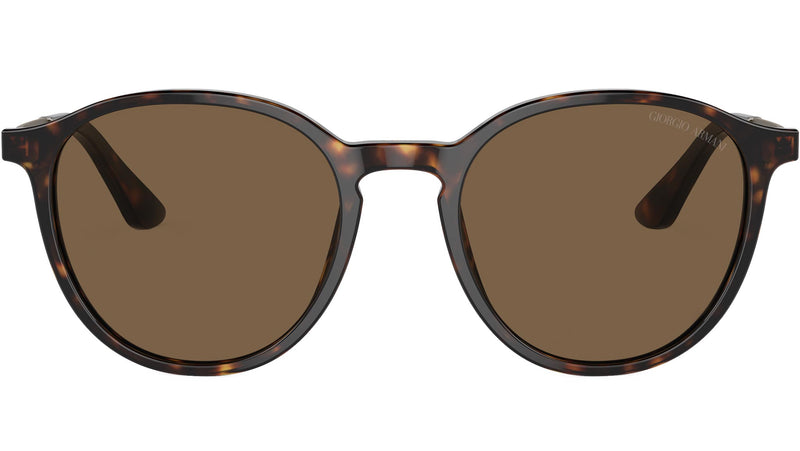 AR 8196 502673 Tortoise