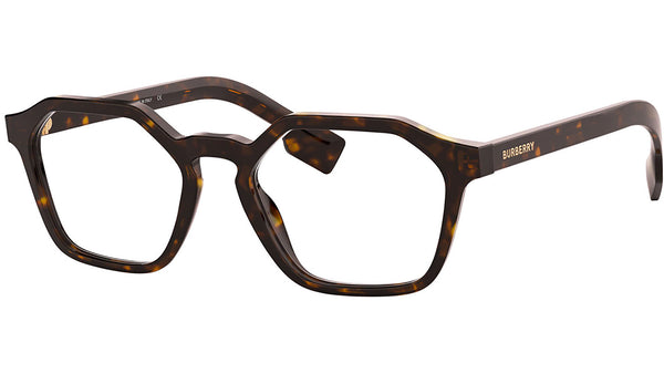 BE2294 3002 Tortoise