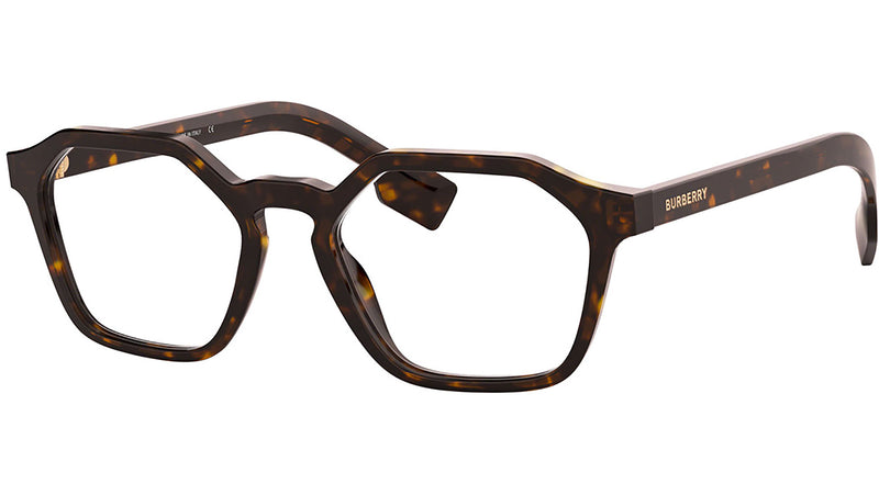 BE2294 3002 Tortoise