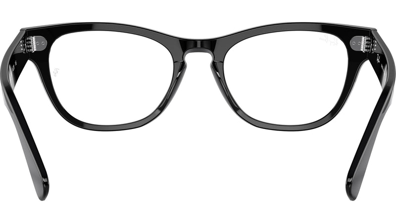 Laramie Optics RB2201V 2000