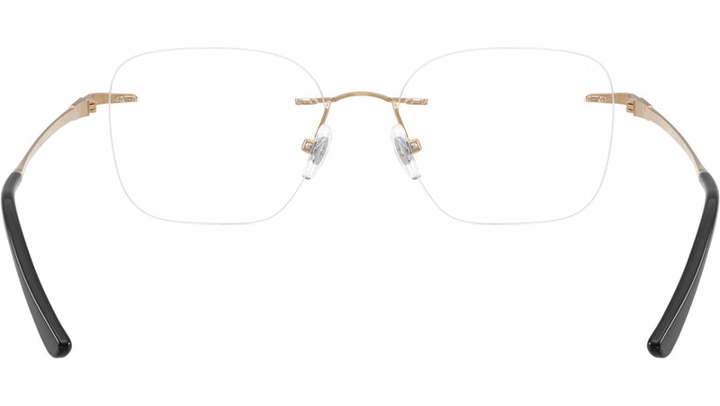 RB8783D Optics 1248