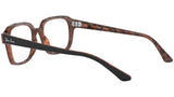 RB5382 Optics 5909