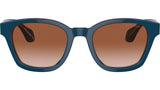 AR 8207 608513 Blue Brown