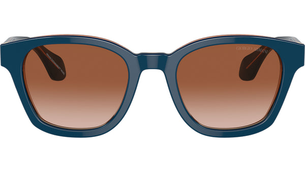 AR 8207 608513 Blue Brown