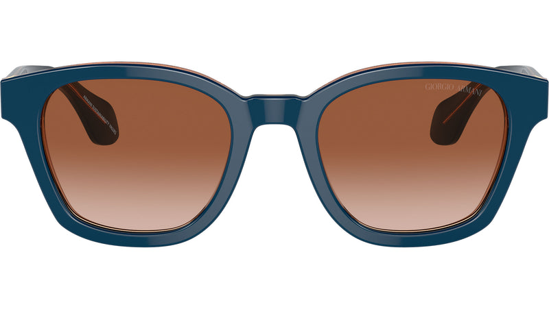 AR 8207 608513 Blue Brown